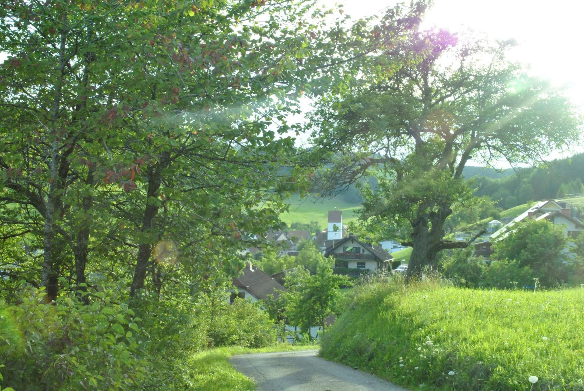 Gasthaus Kranz Lausheim Extérieur photo