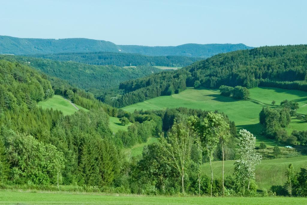 Gasthaus Kranz Lausheim Extérieur photo